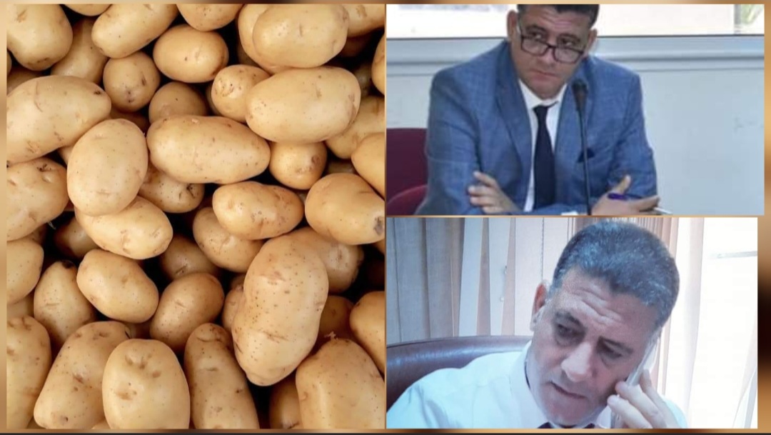 مدير التجارة بسوسة لـ"الصباح نيوز": رغم تواضع الإمكانيات سنتصدّى لكلّ المخالفين  